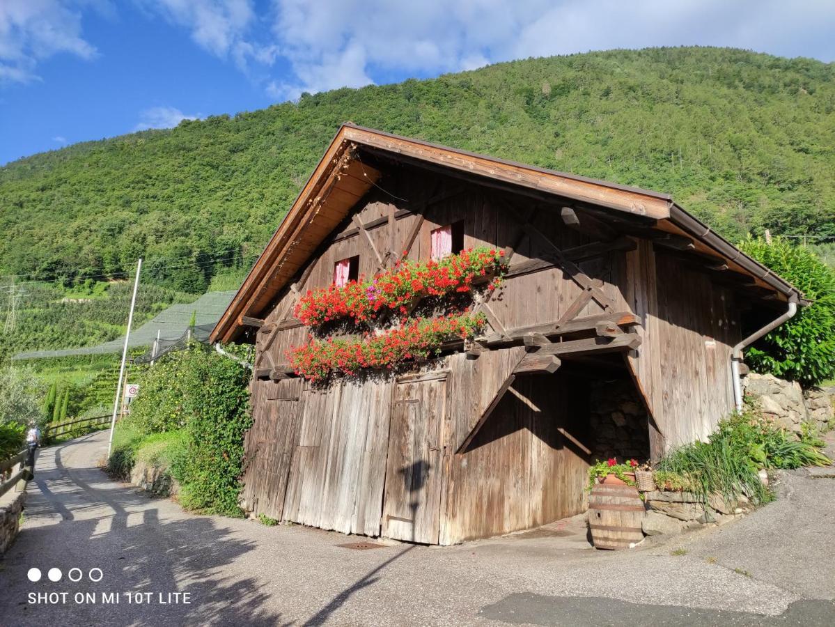Ruhige Ferienwohnung Mit Garten Und Garage In Privatvilla Marlengo Bagian luar foto